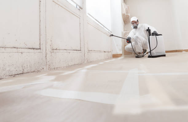 24/7 Emergency Basement Mold Remediation experts in Friendsville, MD